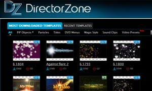 Director Zone