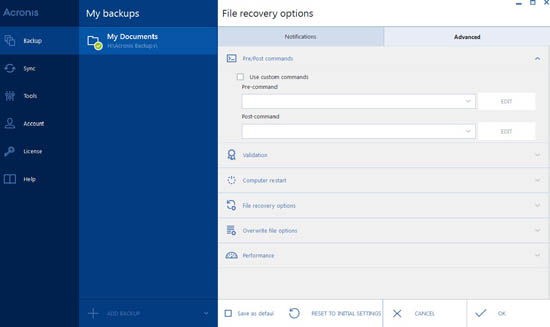 File recovery options window